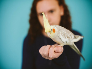 اسم عروس هلندی رو چی بزاریم؟