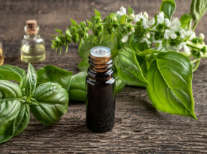 نسخه های درمانی روغن ریحان در طب سنتی + 52 خواص