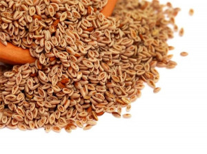 خواص بارهنگ در طب سنتی