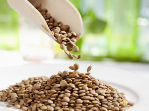 دستورالعمل هایی برای استفاده از عدس جهت تغذیه نوزادان