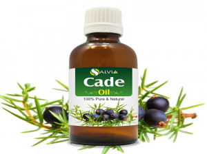 خواص و فواید بی نظیر روغن کاد