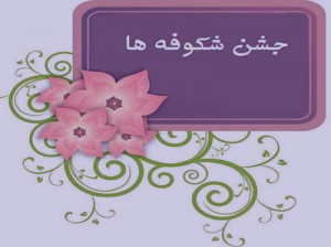 تاریخ دقیق برگزاری جشن شکوفه ها کلاس اول 1400