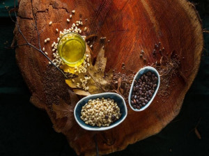 روغن کاج : خواص روغن دانه کاج برای پوست، مو و انواع بیماریها