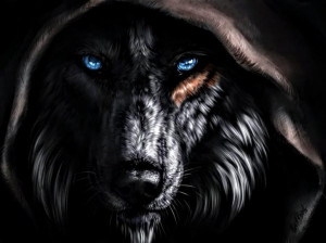 منتخب جذاب ترین عکس گرگ برای پروفایل دخترانه / پسرانه