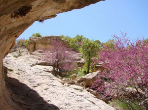 تنگه ارغوان، طبیعتی دنج در ارتفاعات ایلام