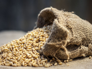 تعبیر خواب گونی: 20 نشانه و تعبیر گونی در خواب