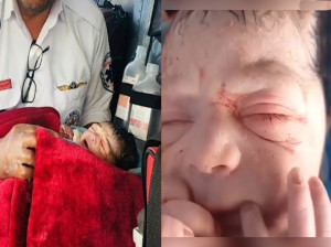 نوزاد عجول یاسوجی در آسمان متولد شد + فیلم