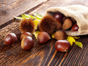 تعبیر خواب شاه بلوط: 17 نشانه و تعبیر دیدن شاه بلوط در خواب