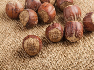 فندق در خواب: تعبیر دیدن خواب فندق چیست ؟