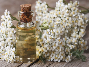 بومادران برای نوزاد : خواص و کاربرد دمنوش بومادران برای کودکان
