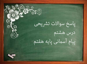 پاسخ سوالات تشریحی درس هشتم پیام های آسمانی پایه هفتم