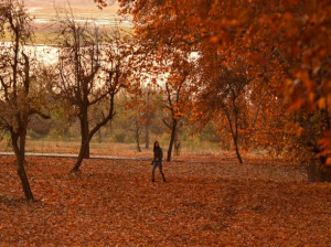 شعر برای دختر آذر ماهی | زیباترین اشعار درباره دختران متولد آذر