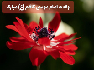 15 شعر ناب و خاص ویژه ولادت امام موسی کاظم (ع)