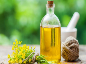 روغن کانولا چیست ؟ ارزش غذایی، خواص و مضرات روغن کانولا