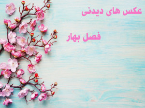 70 عکس زیبا و حیرت انگیز فصل بهار با کیفیت بالا