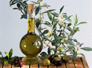 زیتون، نکاتی درباره هدیه اسکندر کبیر