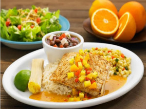 رژیم غذایی مناسب برای آب کردن چربی ران