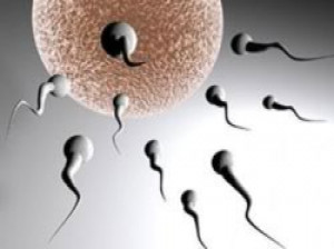 بانک اسپرم چیست و چگونه از اسپرمها استفاده می کنند؟