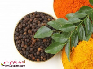 با انواع فلفل آشنا شوید!خواص فلفل های مختلف را میدانید؟