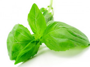خواص ریحان چیست؟آشنایی با خواص درمانی و فوق العاده مفید ریحان