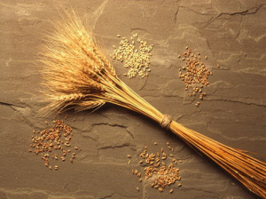 آشنایی با بهترین غذاهای خواب آور و تاثیر آن ها بر خواب شما