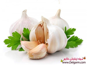دانستنیهای سیر