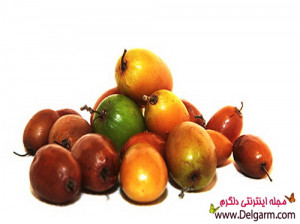 با اين ميوه سرفههای مزمن را درمان کنيد