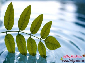 راههایی برای بهتر زیستن