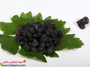 خواص مویز و خاصیت های مویز