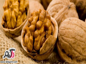 خواص گردو و دلیل خوردن گردو برای سلامتی