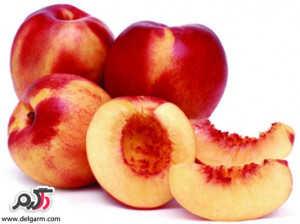 از خواص شلیل چه میدانید؟؟؟