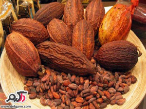 آیا فرق میان شکلات و کاکائو را می دانید؟