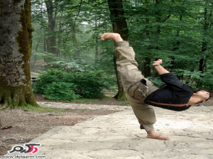 از ورزش کونگ فو چه می دانید؟