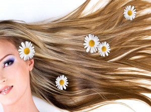 موس چیست؟+کاربرد های موس؟