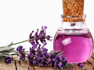 اسطوخودوس چه گیاهی است؟ و خواص درمانی اسطوخودوس برای سلامت و زیبایی چیست؟