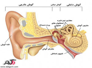 جرم گوش چیست؟ چگونه گوش های خود را تمیز کنیم؟