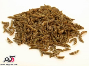 زیره چه خواصی دارد +طرز تهیه ی چایی زیره و تاثیر آن بر لاغری