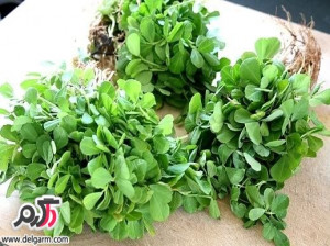 خواص / فواید باورنکردنی شنبلیله