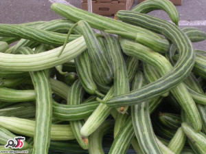 خواص خیار چنبر