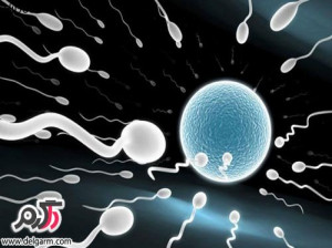 عوامل کشنده ی اسپرم را میدانید چیست؟