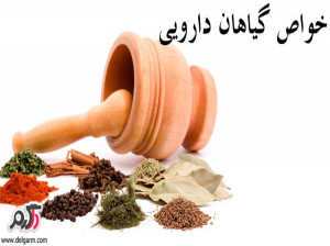 خواص ترنجبین در طب سنتی