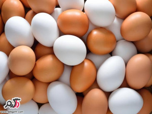 فواید تخم مرغ برای سلامتی