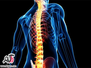 علت چسبندگی مهر های کمر و درمان این عارضه