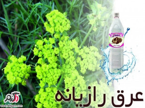 چرا عرق رازیانه برای زن ها لازم است؟