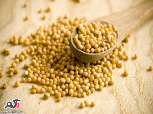 خواص دارویی و درمانی دانه خردل