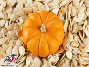 خواص و فواید بی نظیر تخمه کدو