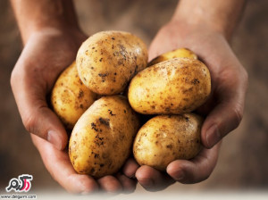 فواید بی نظیر و معجزه آسا سیب زمینی برای سلامتی