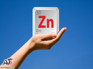 فواید مکمل روی (Zn زینک)