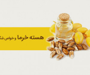 خواص هسته خرما : آشنایی با خواص اعجاب انگیز هسته خرما در طب سنتی