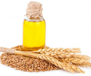 فواید و عوارض مصرف روغن جوانه گندم